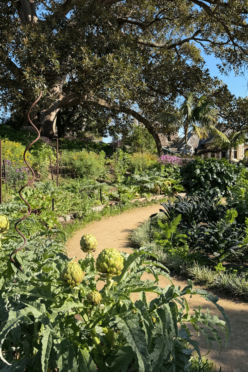 The most enchanting gardens to wander through in Melbourne and beyond this spring