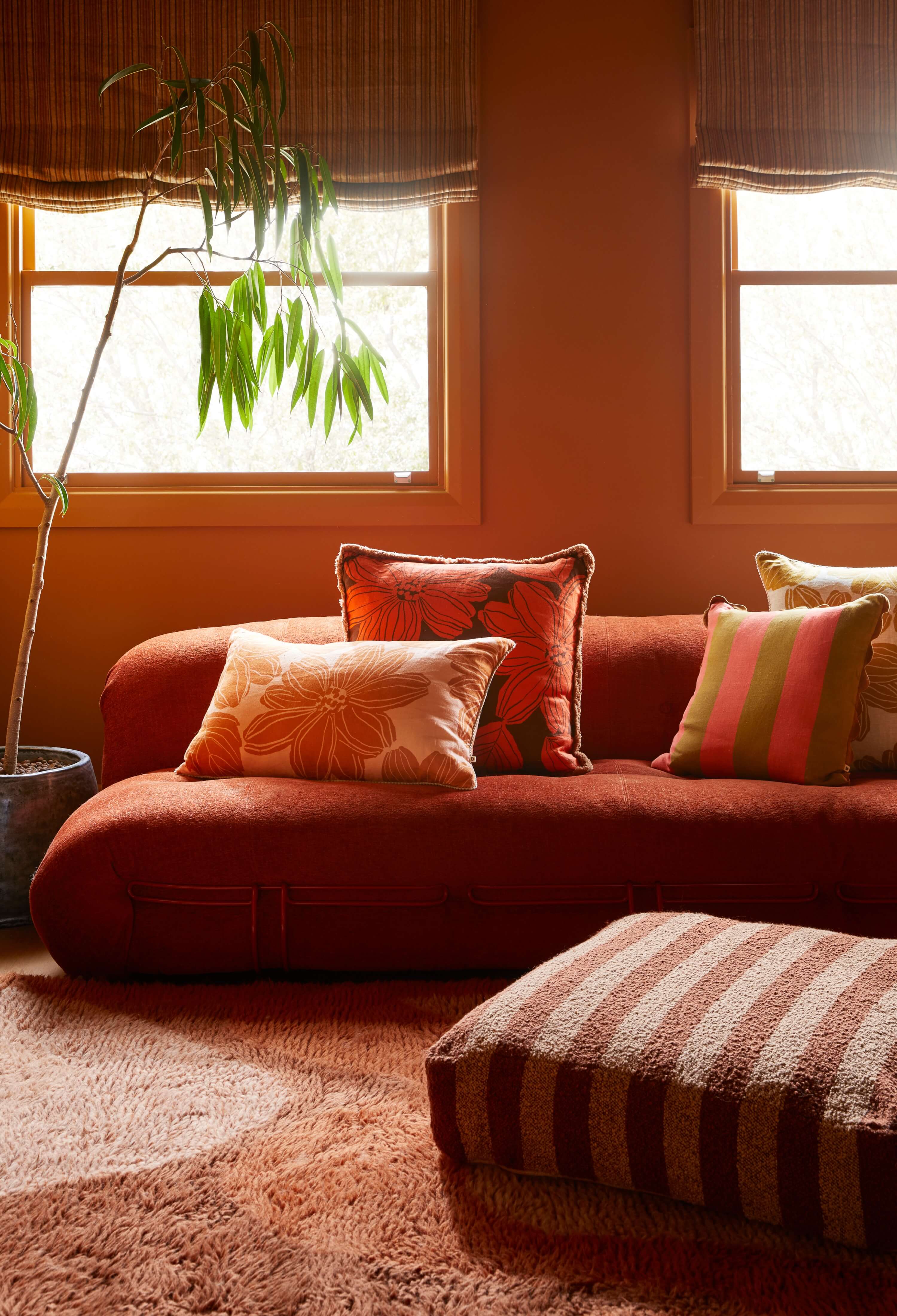 Cushion on couch