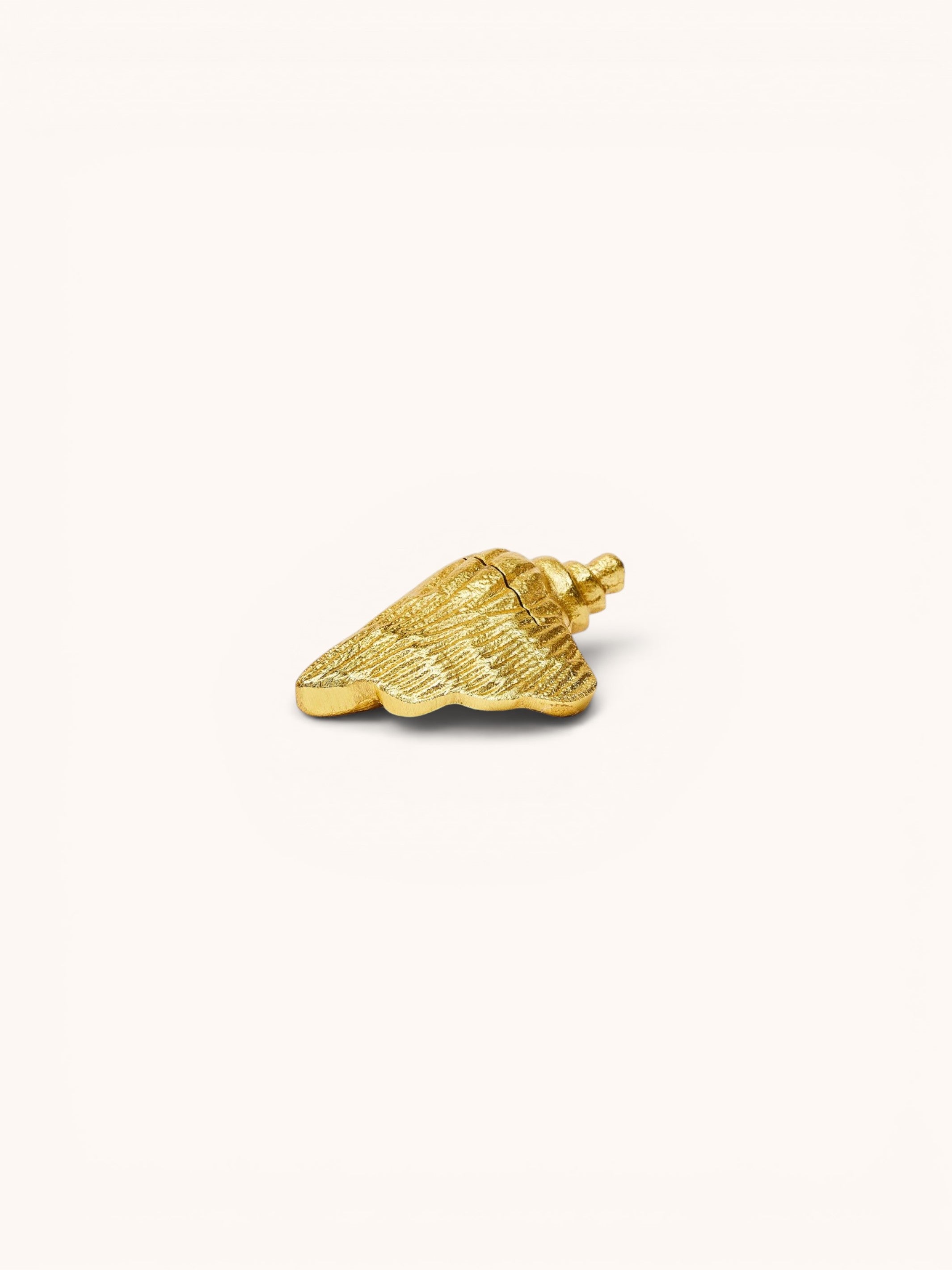 Conch Shell Place Card Holder