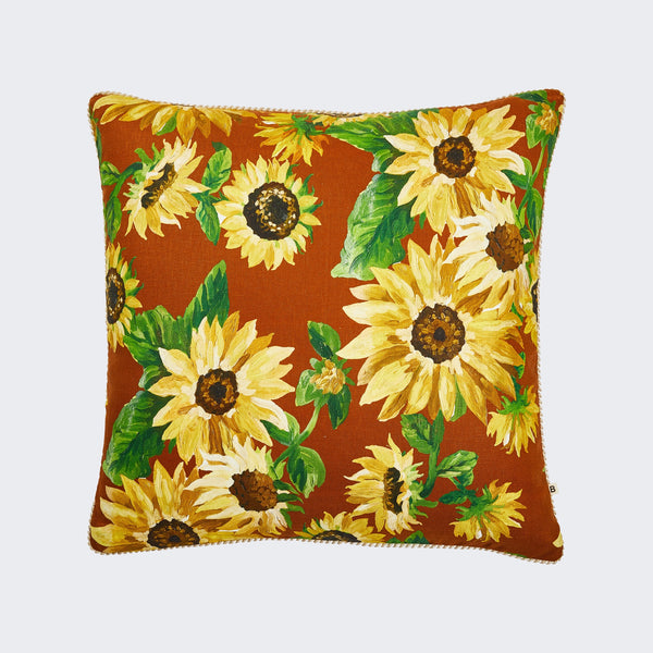 Sunflower Nutmeg 60cm