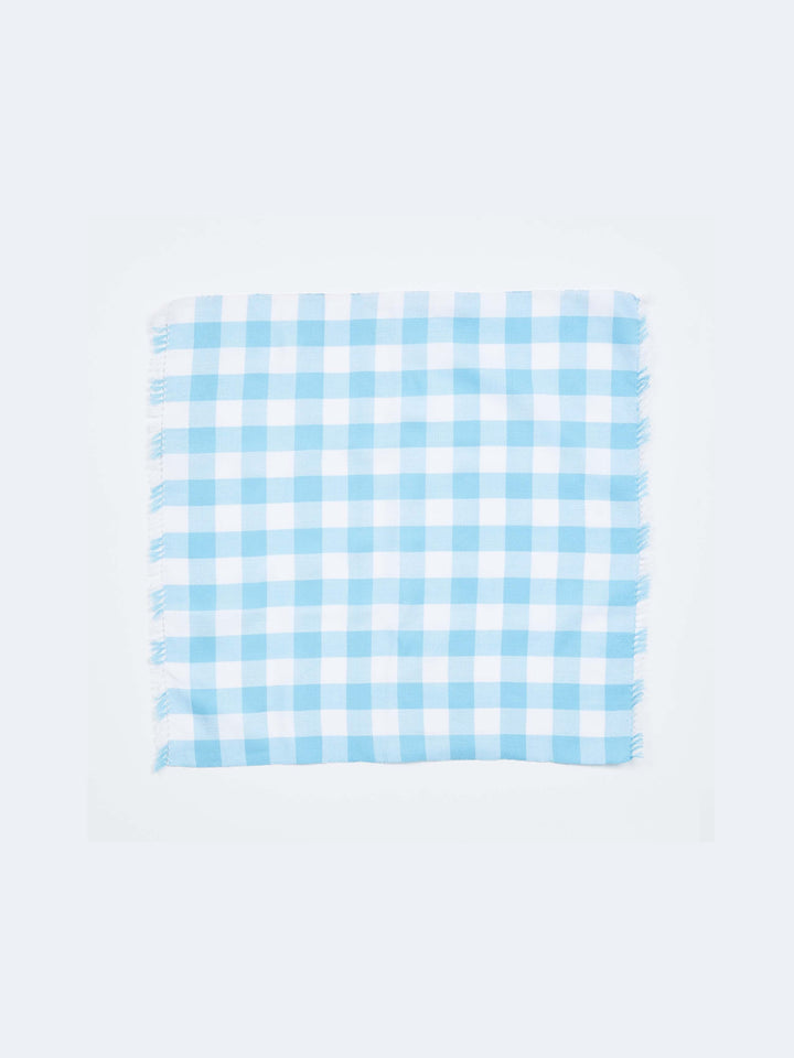 Gingham Blue Napkins - Almost Perfect