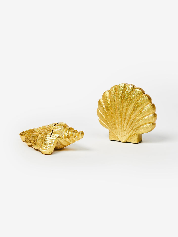 Conch Shell Place Card Holder