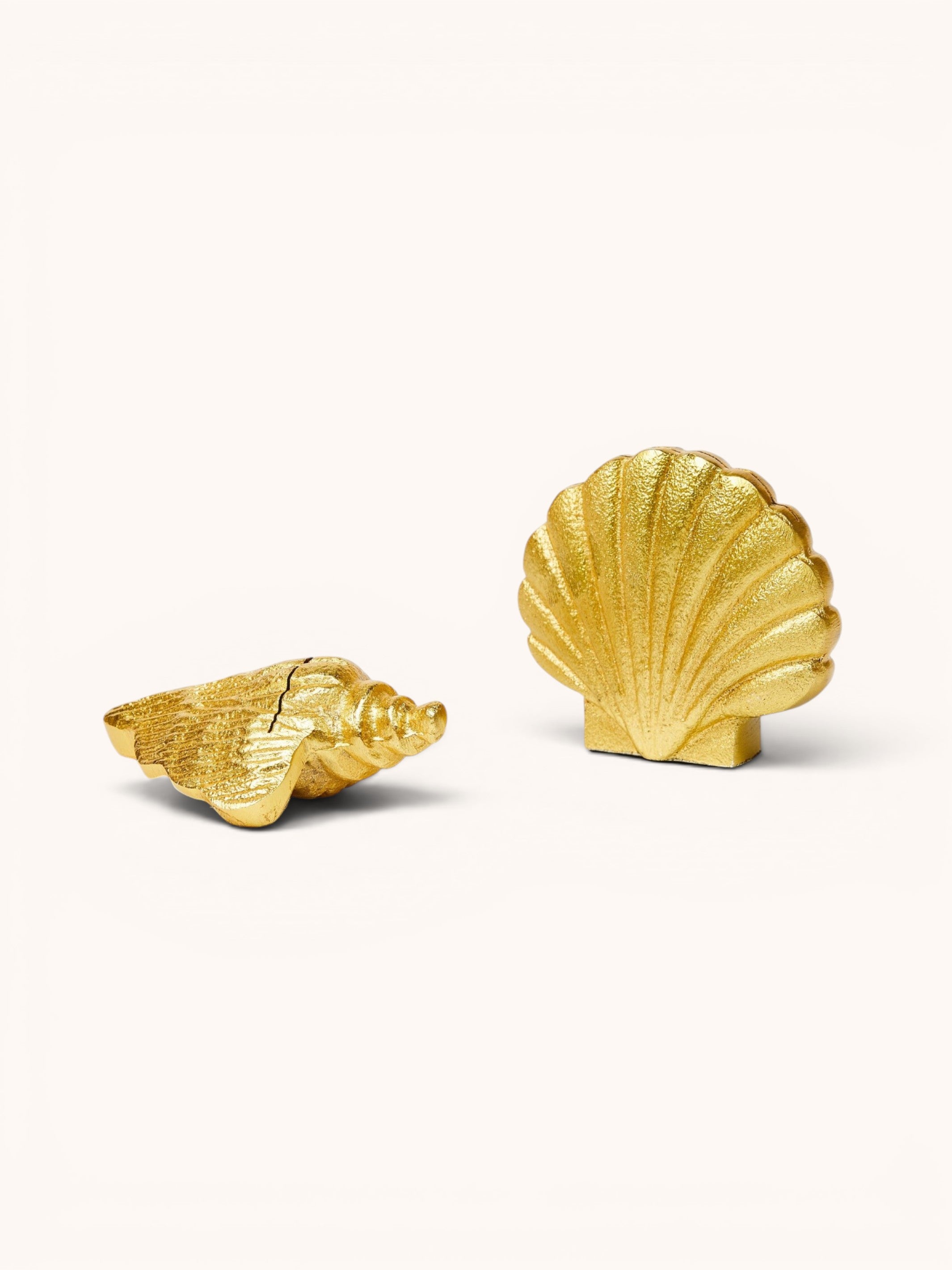 Conch Shell Place Card Holder