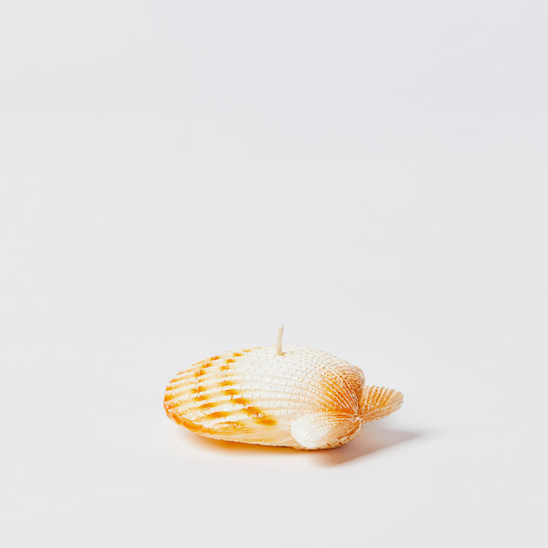 Clam Shell Candle