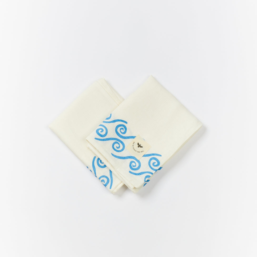 Surf Blue European Pillowcases (set of 2)