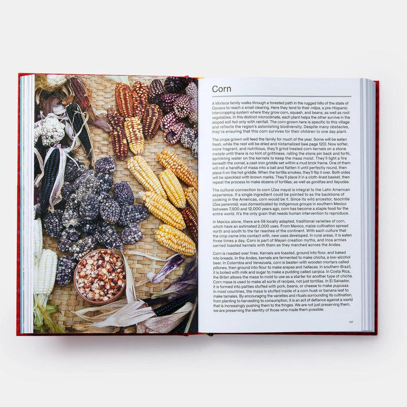 Latin American Cookbook